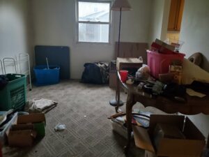 what does a whole house clean out cost